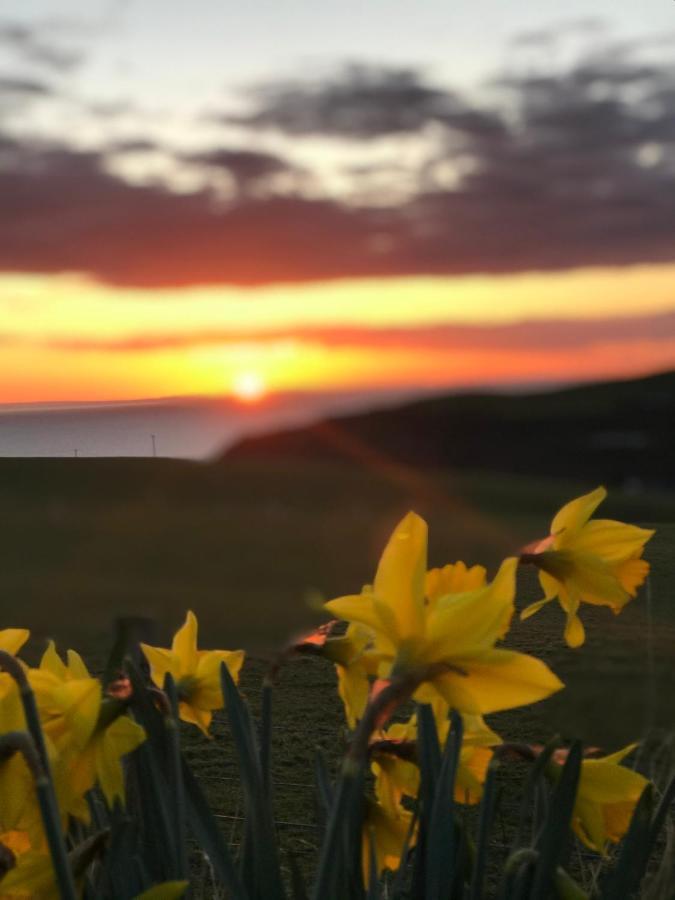 Bunnahabhain 5 - Farm Stay - Stunning Sea And Rural Views Странрар Экстерьер фото