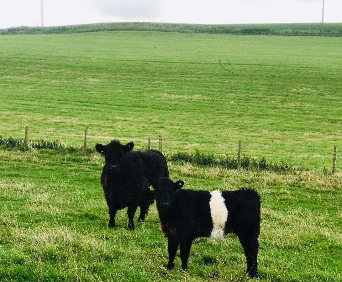 Bunnahabhain 5 - Farm Stay - Stunning Sea And Rural Views Странрар Экстерьер фото